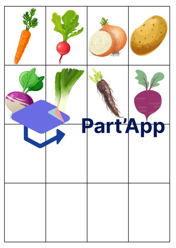 3 sortes de légumes_5