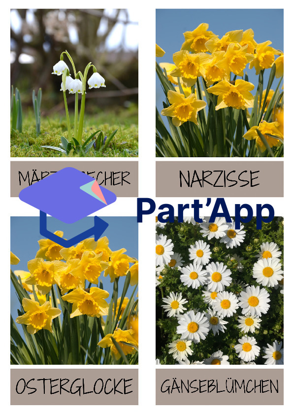 Frühblüher - Flashkarten / Lernkarten_10