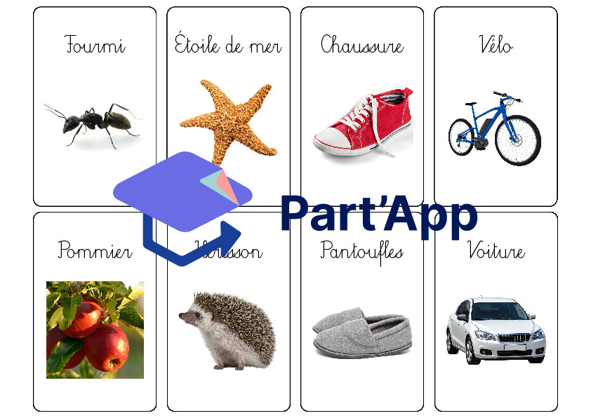 Fiches de tri : Vivant - Non-Vivant_8
