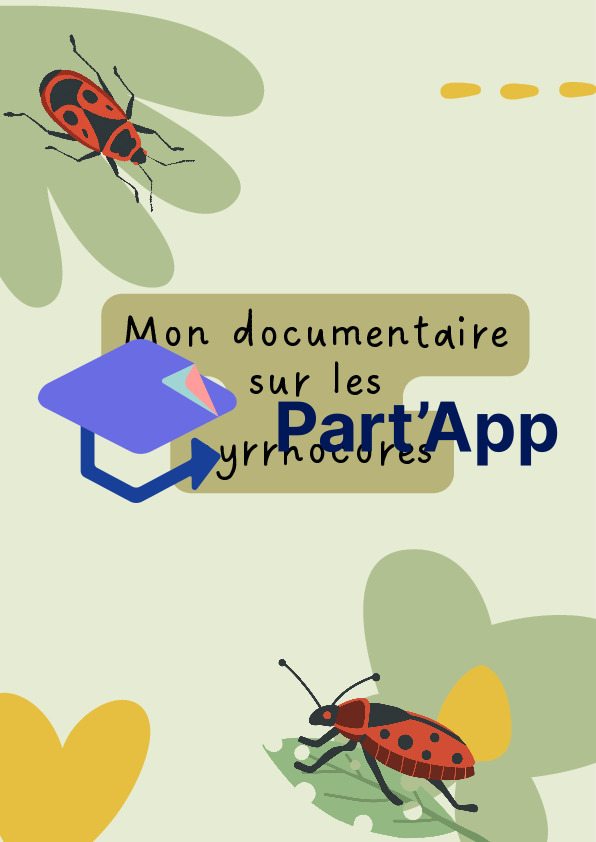 Les pyrrhocores - les gendarmes_2