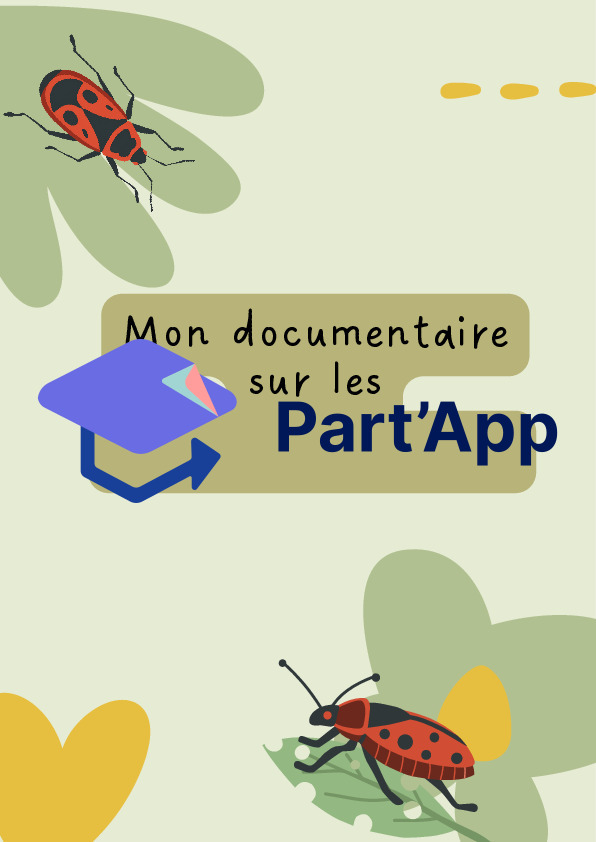 Les pyrrhocores - les gendarmes_3