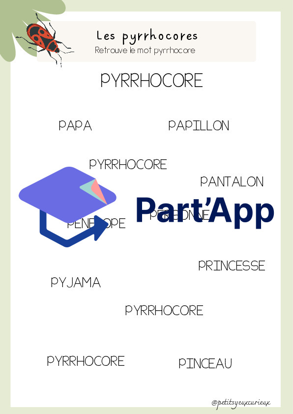 Les pyrrhocores - les gendarmes_4