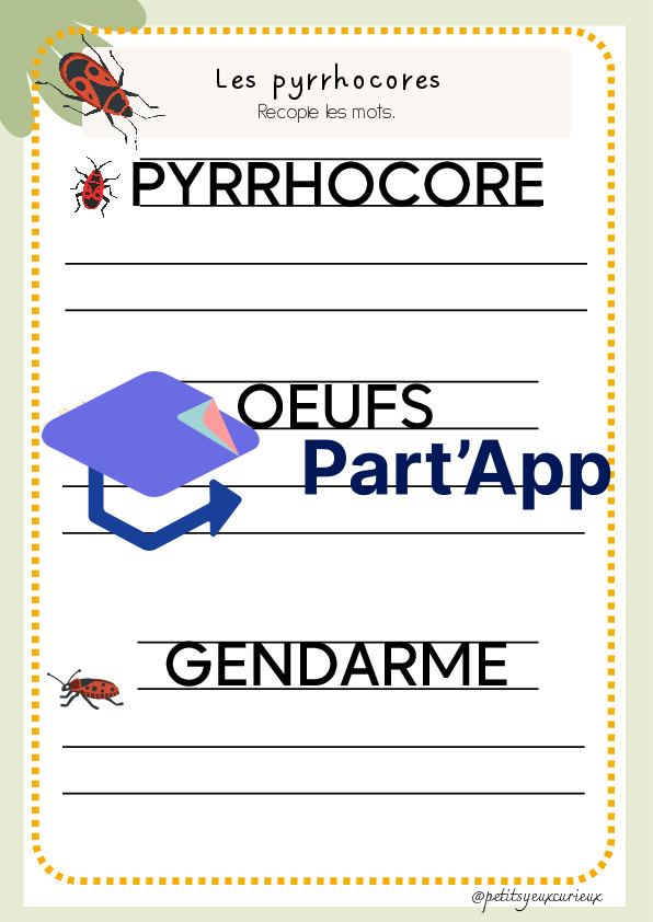 Les pyrrhocores - les gendarmes_6