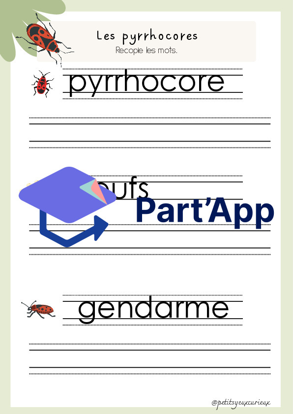Les pyrrhocores - les gendarmes_7