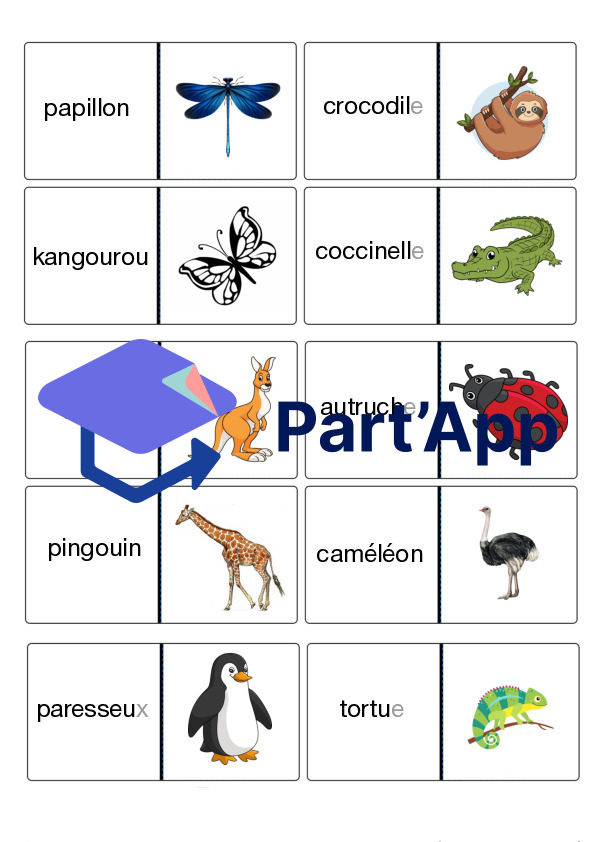 Dominos de lecture mots complexes_2