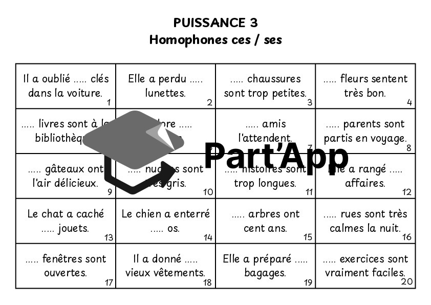 Puissance 3 des homophones (ces / ses)_5