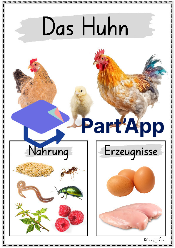 Plakate: Sachwissen Bauernhoftiere für den Kindergarten_5
