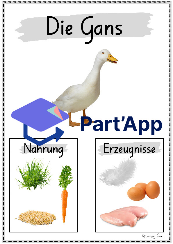 Plakate: Sachwissen Bauernhoftiere für den Kindergarten_8
