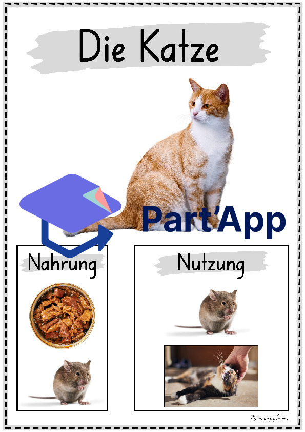 Plakate: Sachwissen Bauernhoftiere für den Kindergarten_9