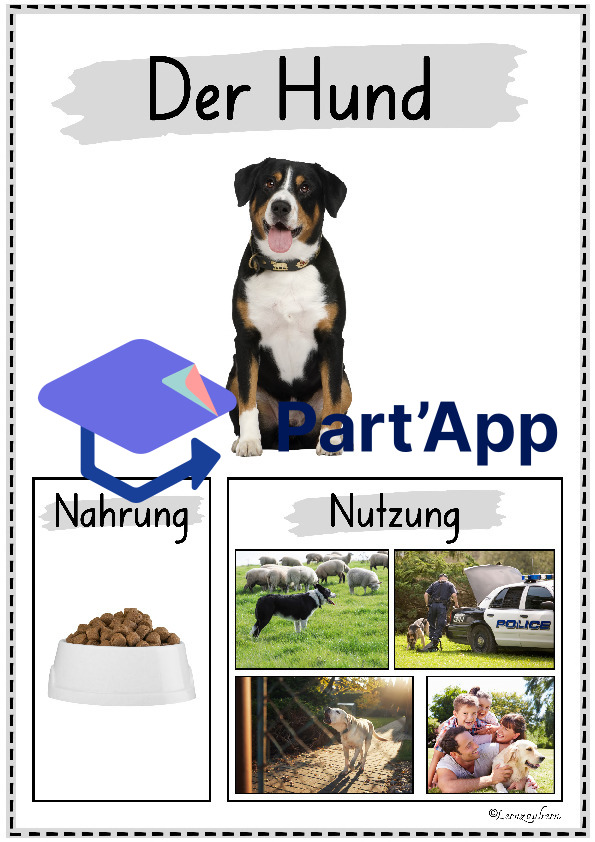 Plakate: Sachwissen Bauernhoftiere für den Kindergarten_10