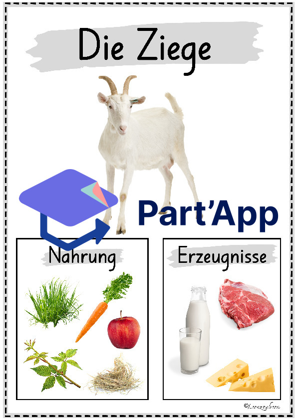 Plakate: Sachwissen Bauernhoftiere für den Kindergarten_11