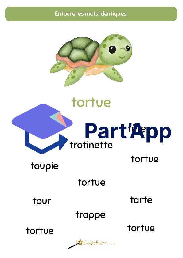 Dossier sur la tortue_5