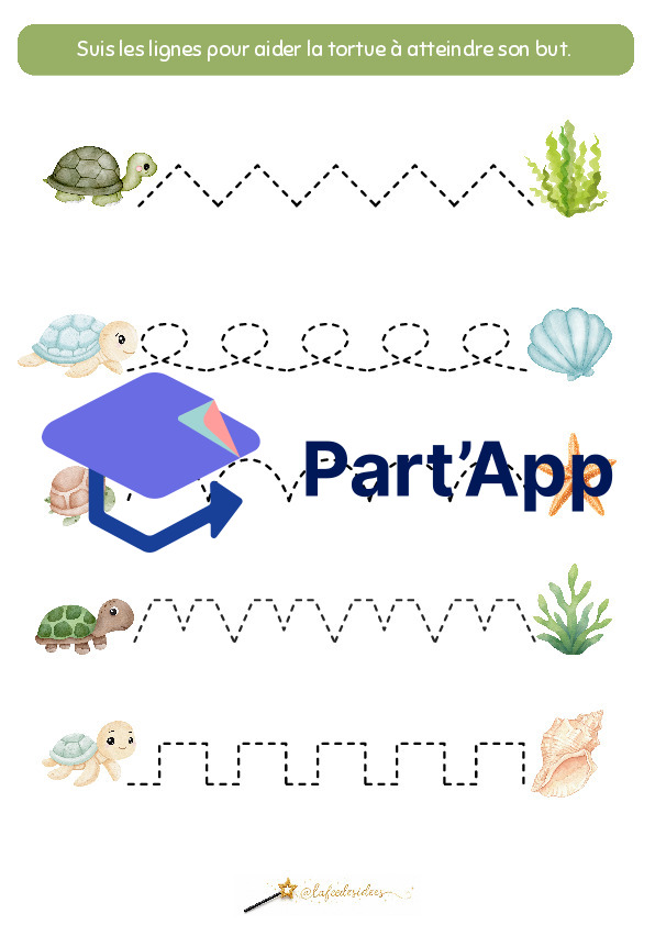 Dossier sur la tortue_6