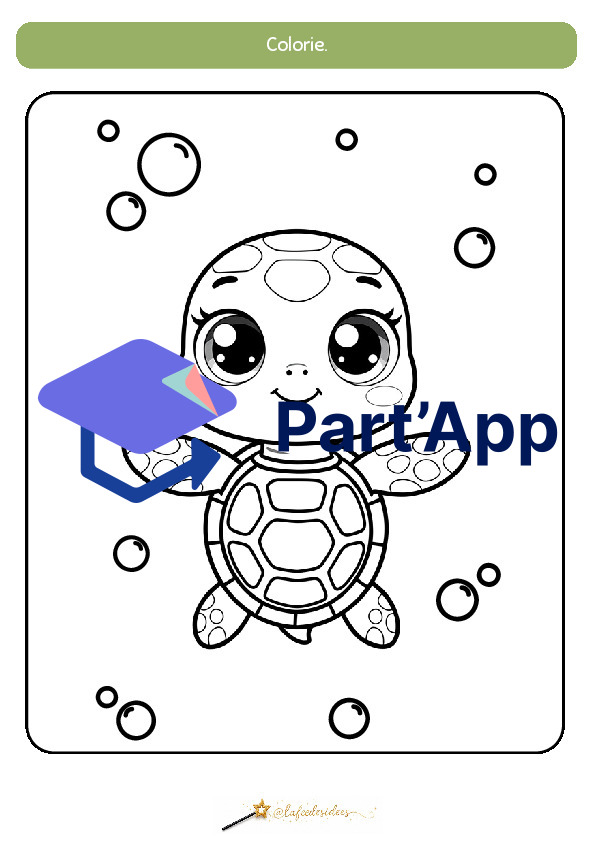 Dossier sur la tortue_9