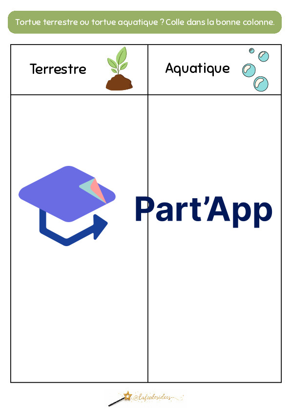 Dossier sur la tortue_10