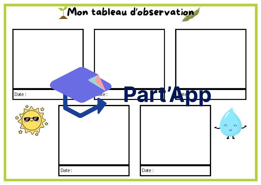 Mon tableau d'observation - germination_2