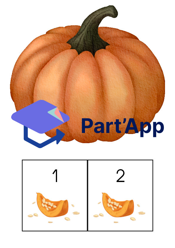 Dénombrement graines de courge_2