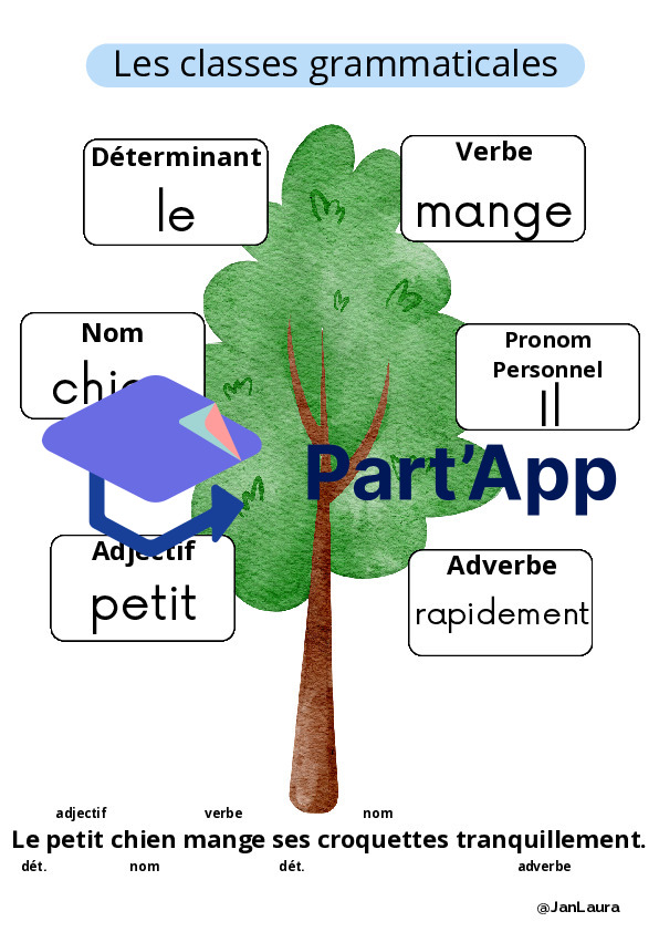 Classes grammaticales_Support visuel_7