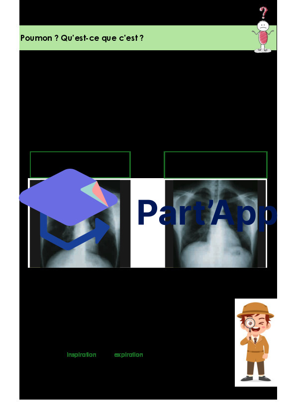 Sciences de la nature_Respiration externe_6P_6