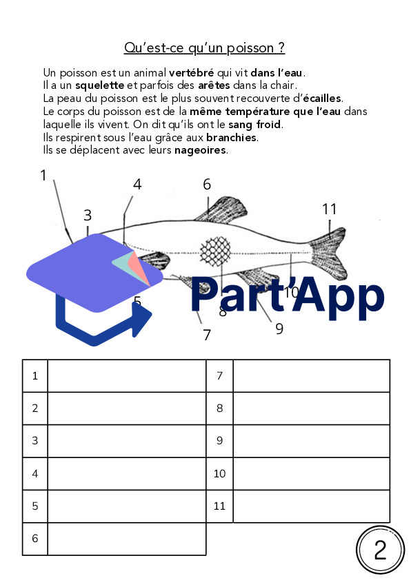 Dossier - Les poissons_6
