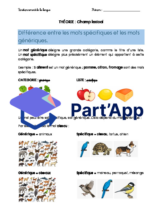 Champ lexical (théorie, exercices, devoirs)_3