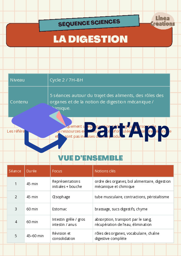 Le système digestif – séquence complète avec expériences et supports_5