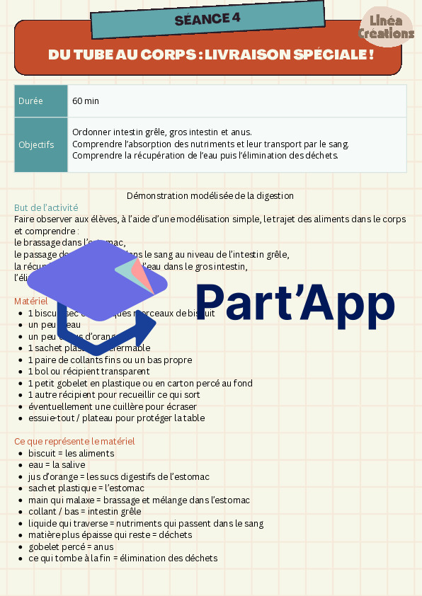 Le système digestif – séquence complète avec expériences et supports_9