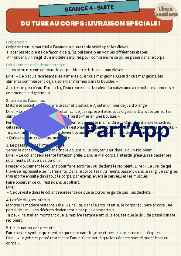 Le système digestif – séquence complète avec expériences et supports_10