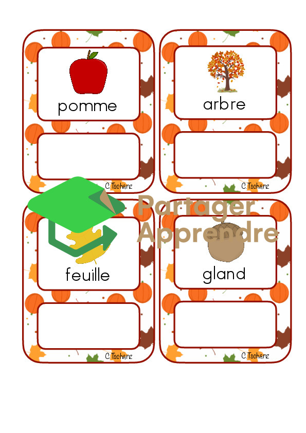 Étiquettes identiques minuscules_11