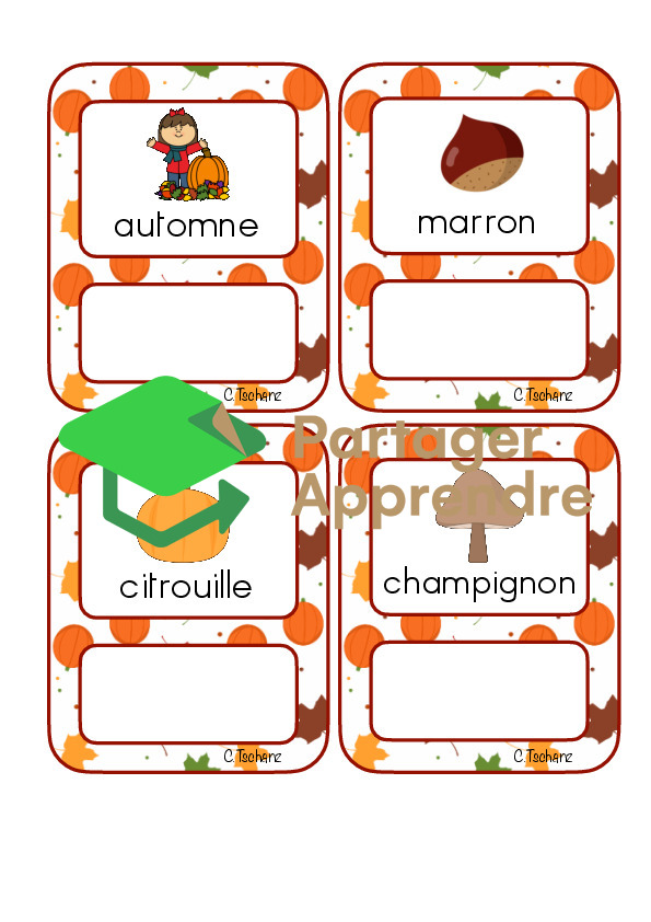 Étiquettes identiques minuscules_12