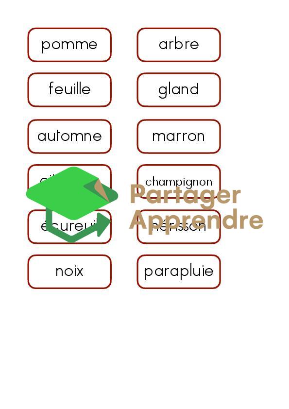 Étiquettes identiques minuscules_14