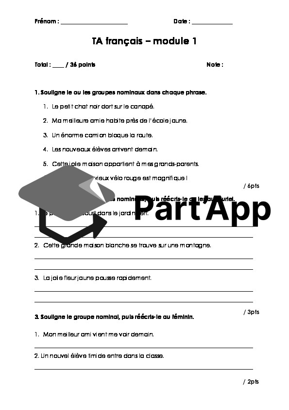 TA module 1 français 8P - G.N, 4 types de phrases, homophones, champ lexical._2