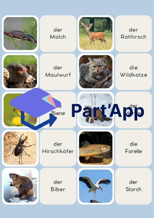 Paare heimische Tiere_5