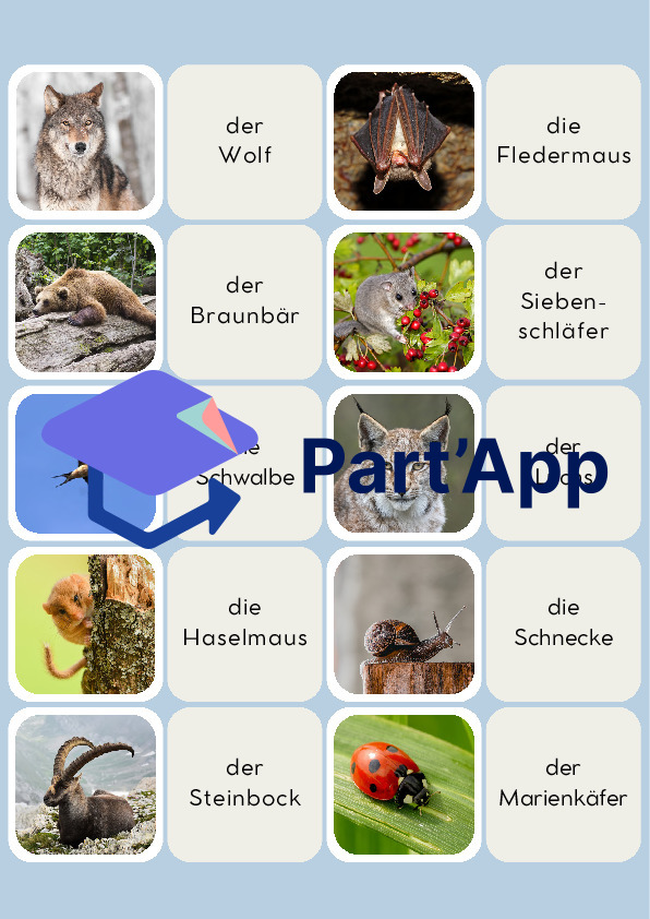 Paare heimische Tiere_6