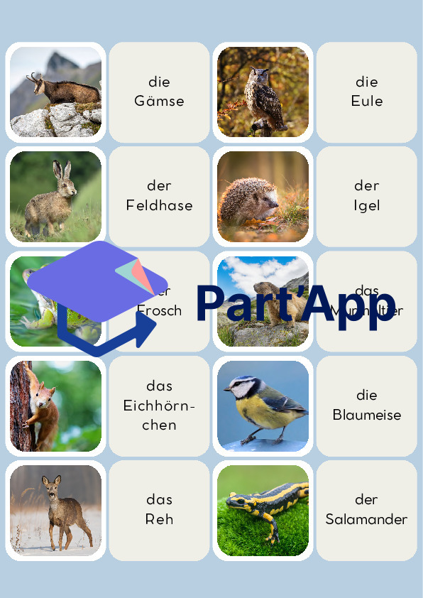 Paare heimische Tiere_7