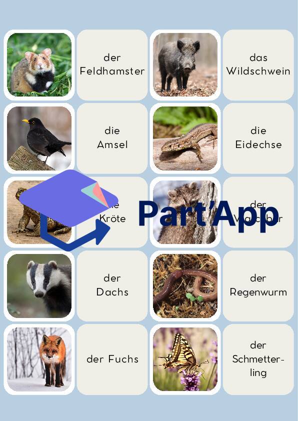 Paare heimische Tiere_8
