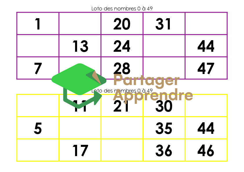 Loto des nombres 0 à 49_8