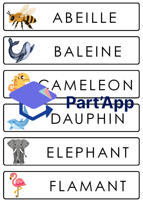 1P-2P – écris le nom des animaux_2