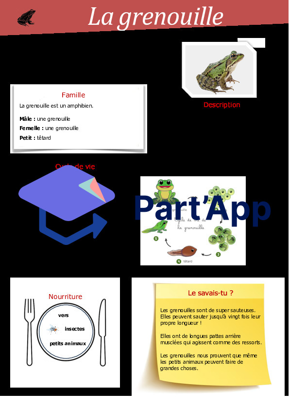 article encyclopédique selon MER les animaux_2