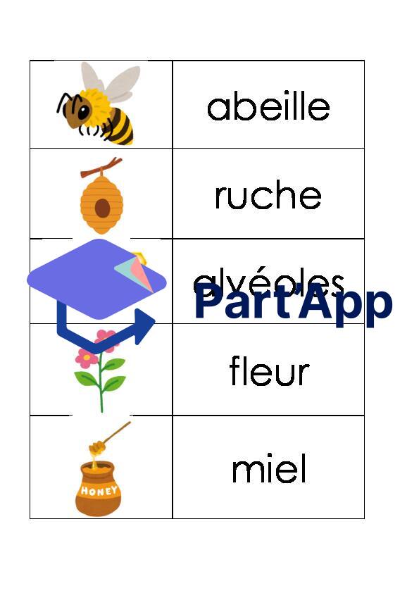 Thème : les abeilles_3