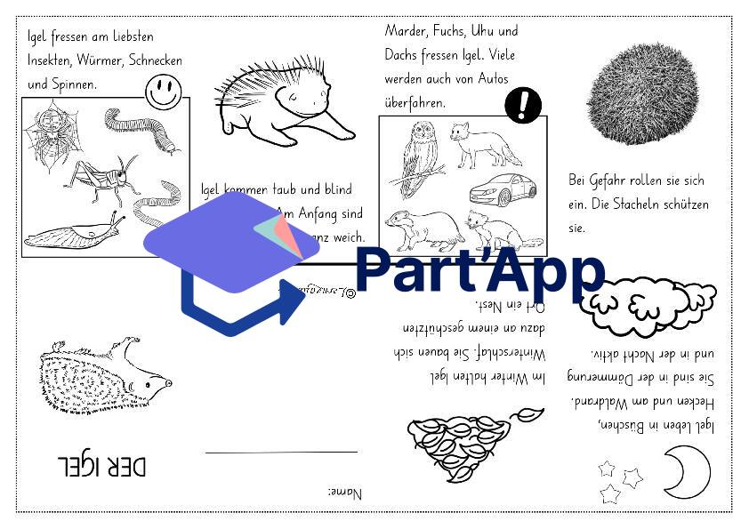 Mini-Book Igel_4