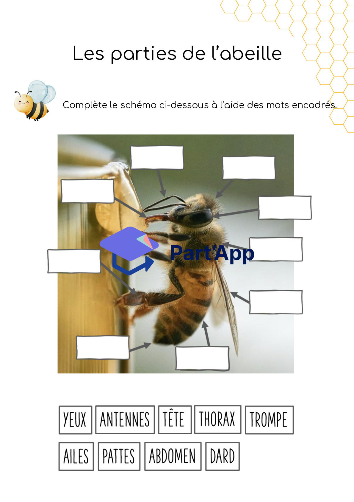 Dossier - abeilles - 3-4H_3