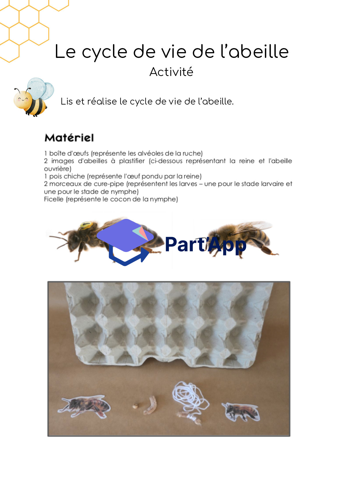 Dossier - abeilles - 3-4H_5