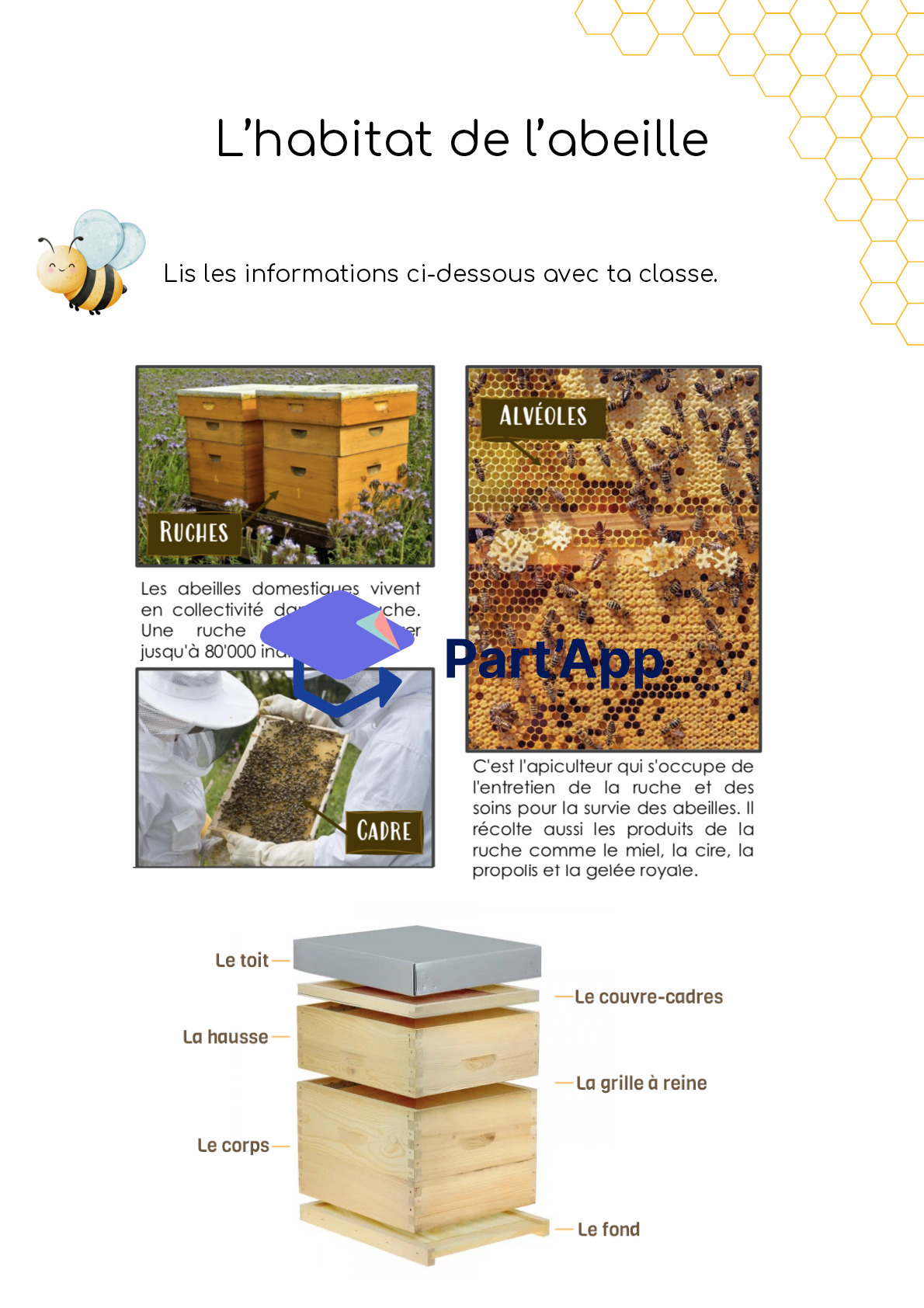 Dossier - abeilles - 3-4H_6