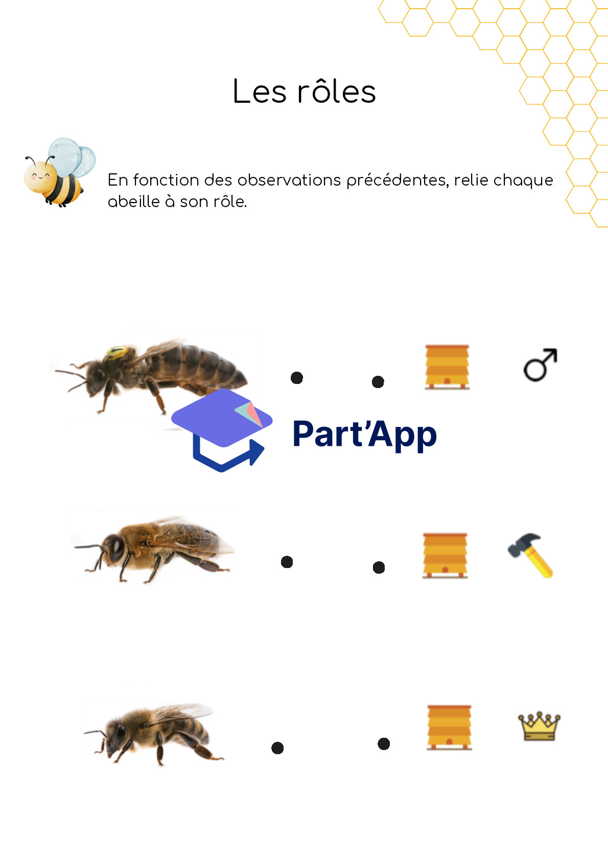 Dossier - abeilles - 3-4H_9