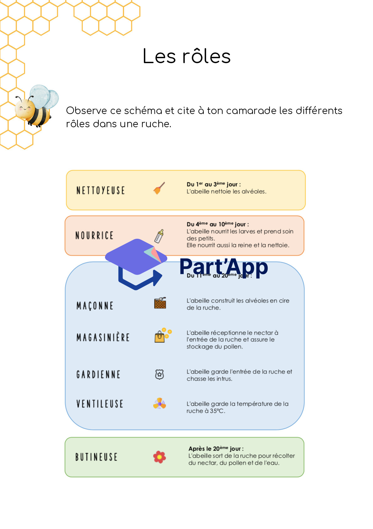 Dossier - abeilles - 3-4H_10