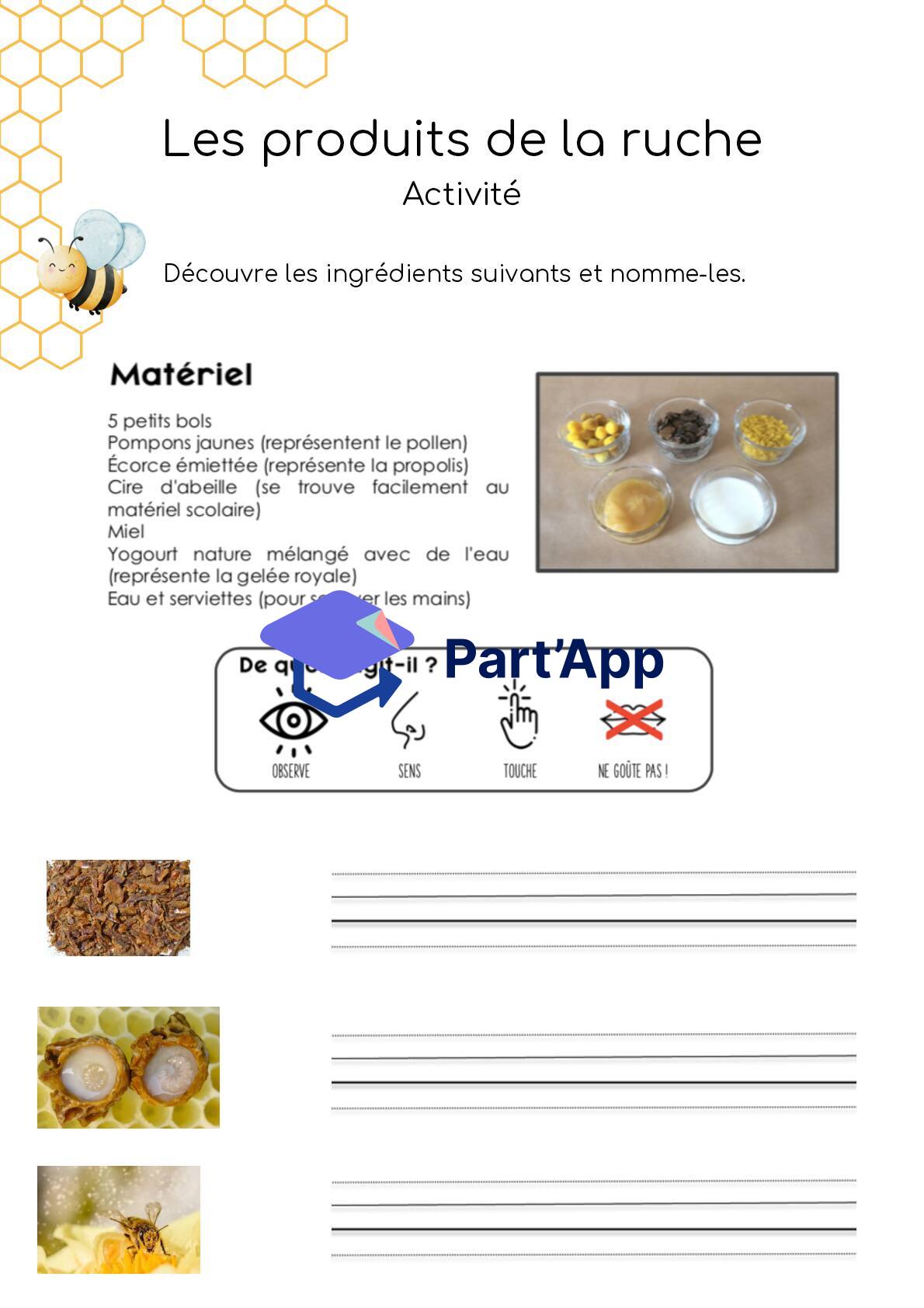 Dossier - abeilles - 3-4H_11