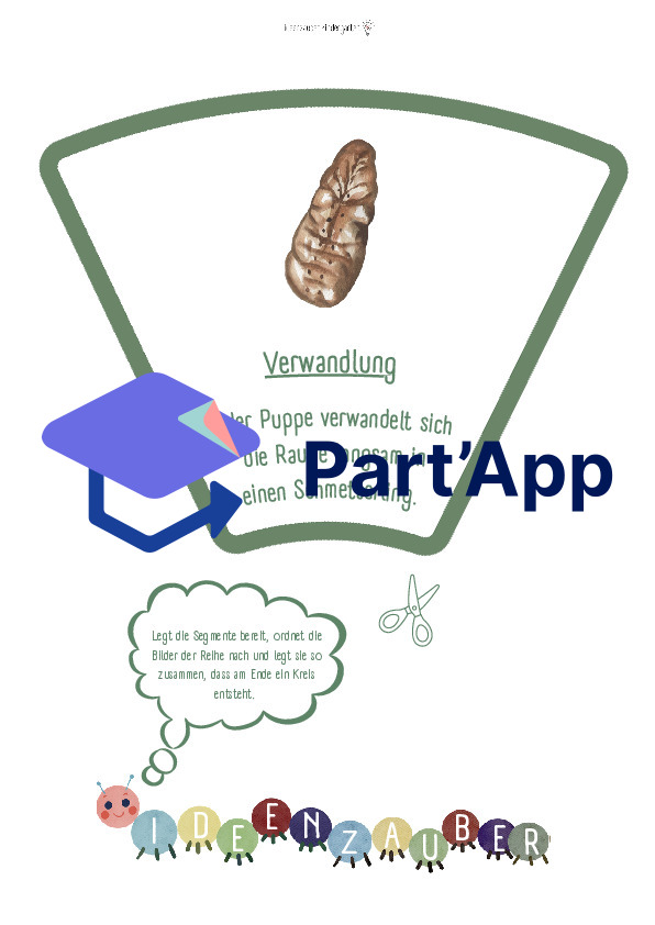 Vom Ei zum Schmetterling: Legekreis_10