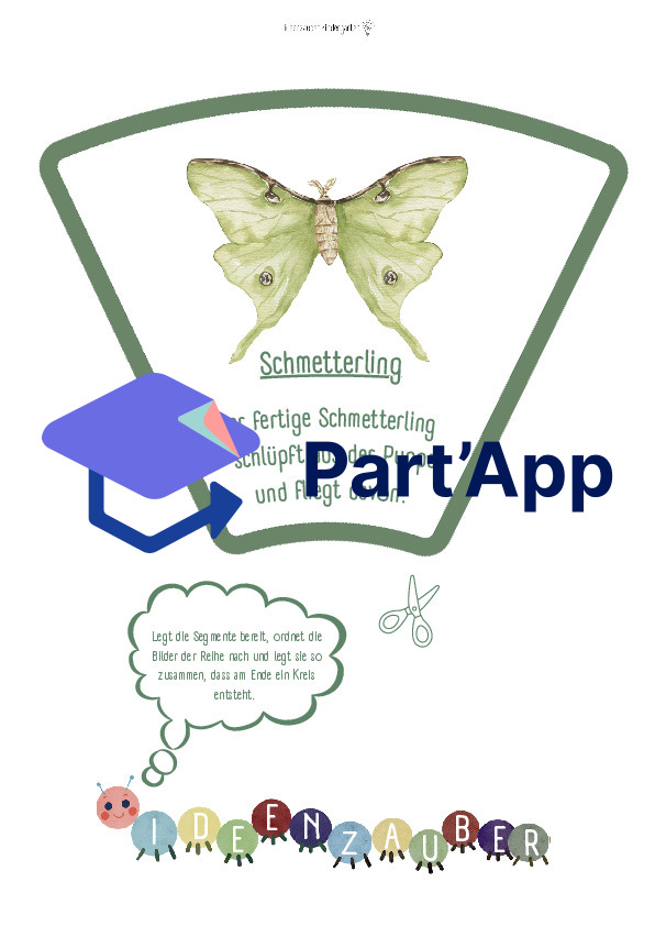 Vom Ei zum Schmetterling: Legekreis_11