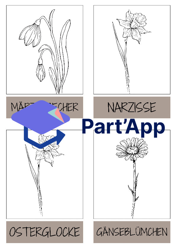 Frühblüher - Lernkarten zum Ausmalen_10
